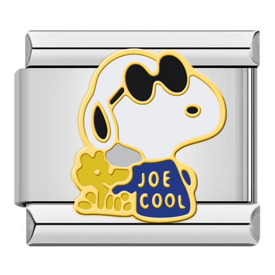 Snoopy Joe Cool