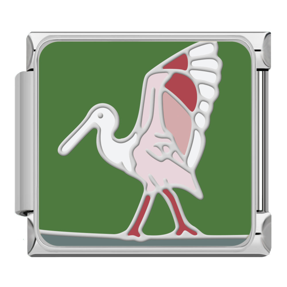 Bird Collection