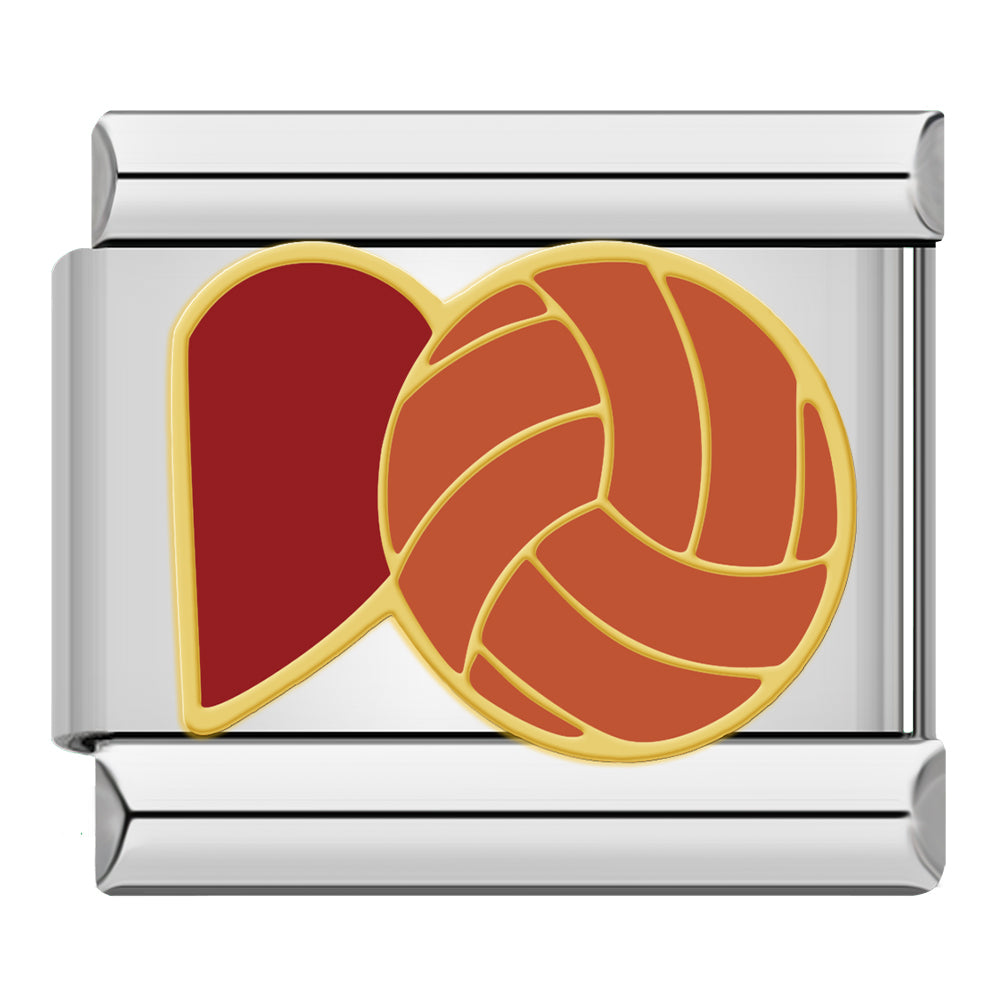 Sports Lover