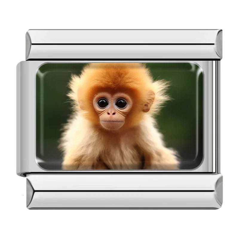 Baby Monkey