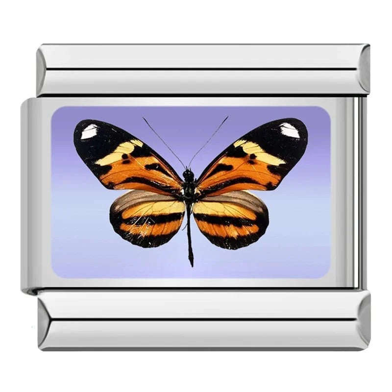 Orange Tiger Butterfly