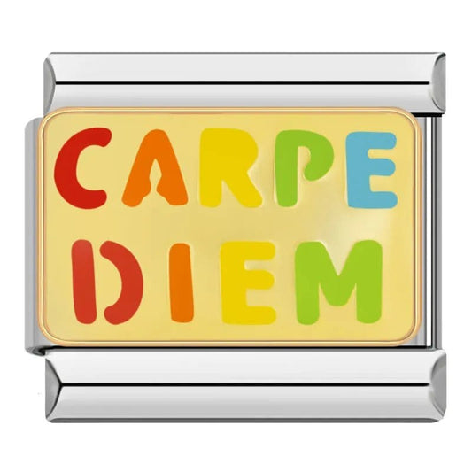 Carpe Diem Rainbow - Cacilia Sauer - Italian Charm Bracelet - custom jewelry - vintage jewelry - charms and pendants