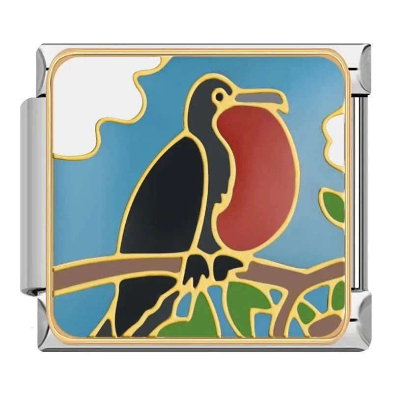 Frigate Bird
