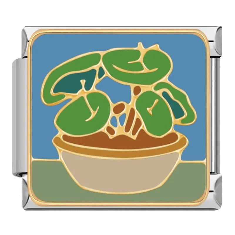 Potted Plant