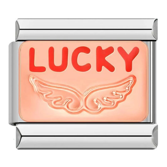 Lucky - Cacilia Sauer - Italian Charm Bracelet - custom jewelry - vintage jewelry - charms and pendants