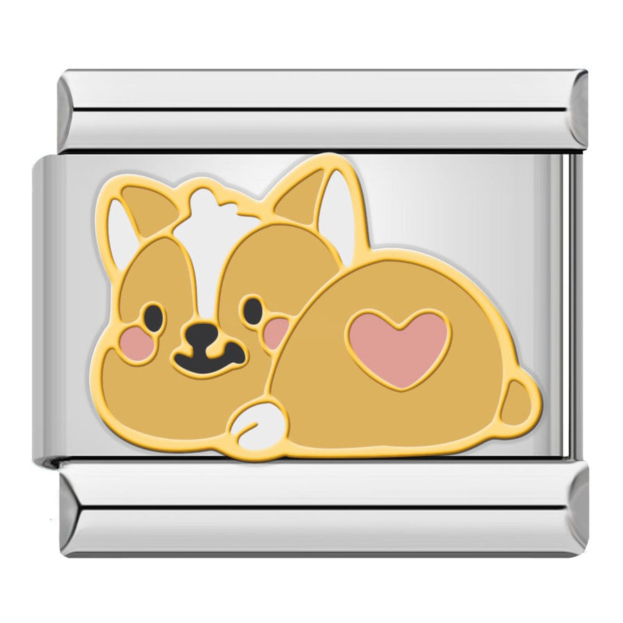 Corgi Lying Down