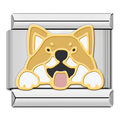 Shiba Inu