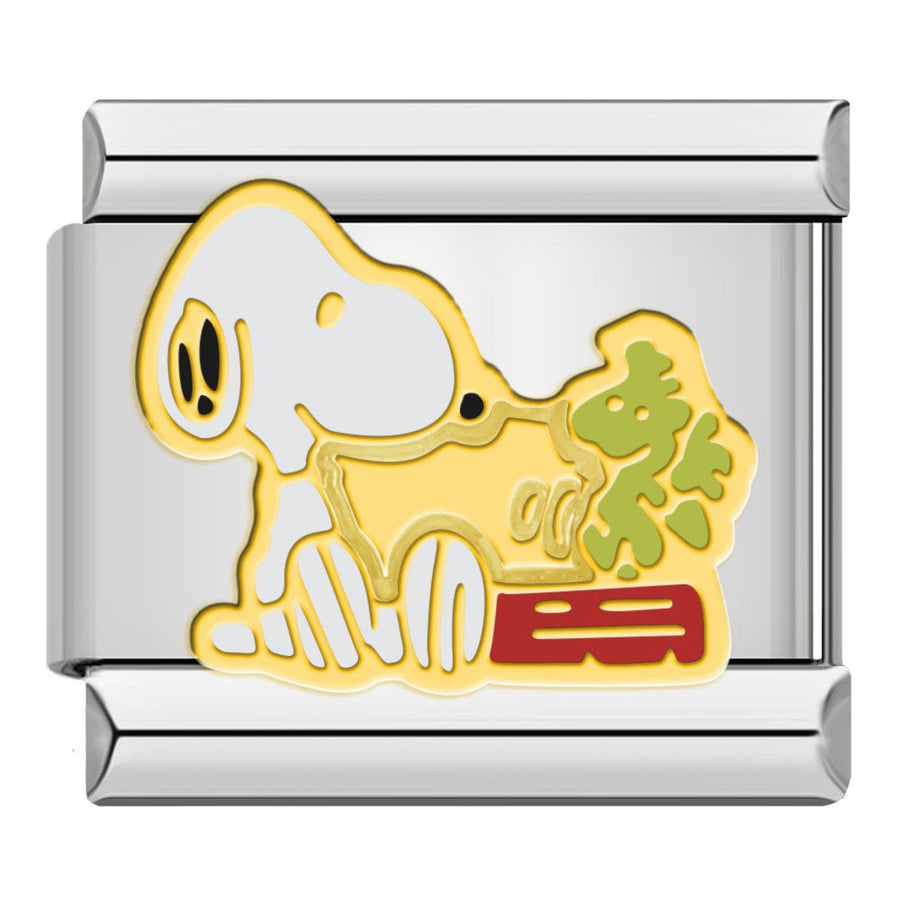 Snoopy with Plant