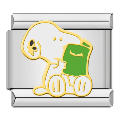Snoopy Reading