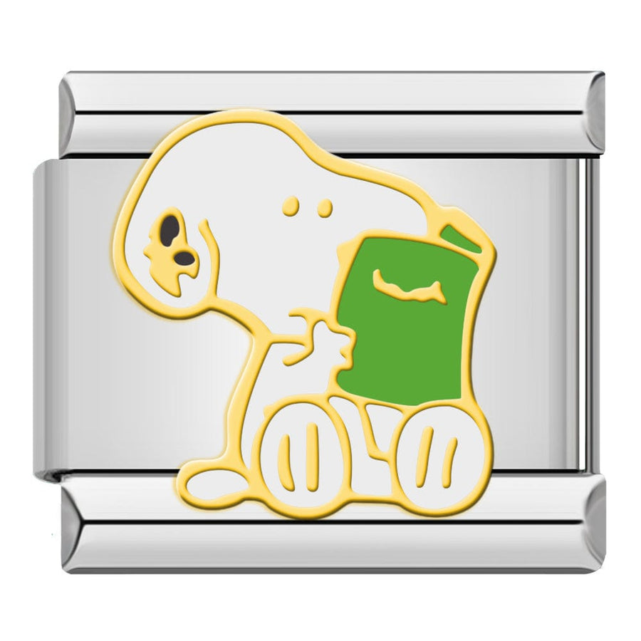 Snoopy Reading
