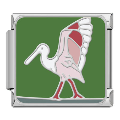 Crane Bird