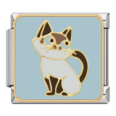 Siamese Cat on Blue