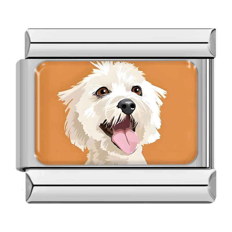 White Fluffy Dog in Silver