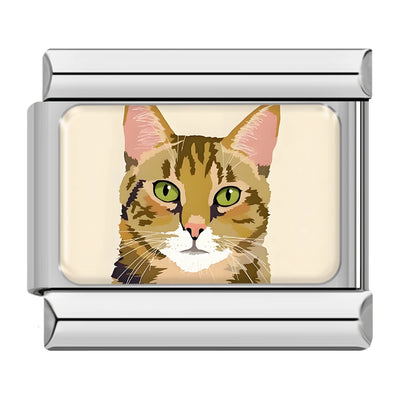 Tabby Cat on Cream in Silver