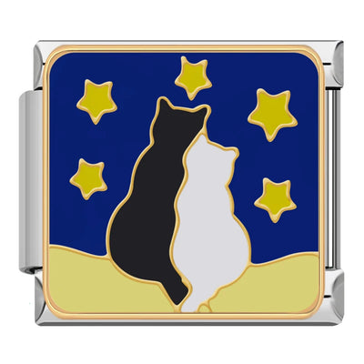 Cats Under the Stars