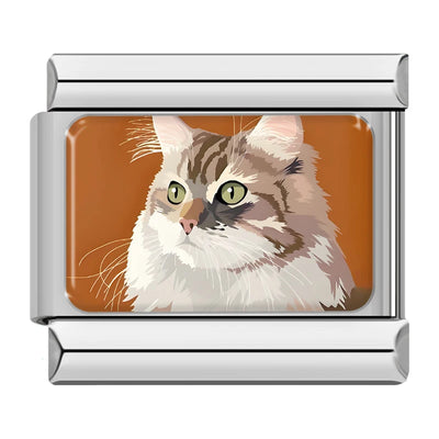 Fluffy Tabby Cat Portrait in Silver
