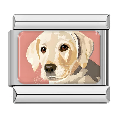 Yellow Lab Puppy in Silver