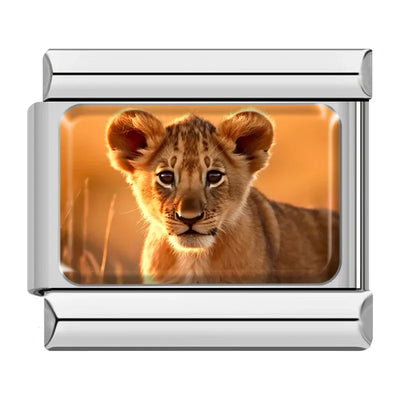 Lion Cub