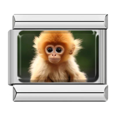 Baby Monkey