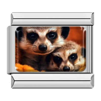 Two Meerkats