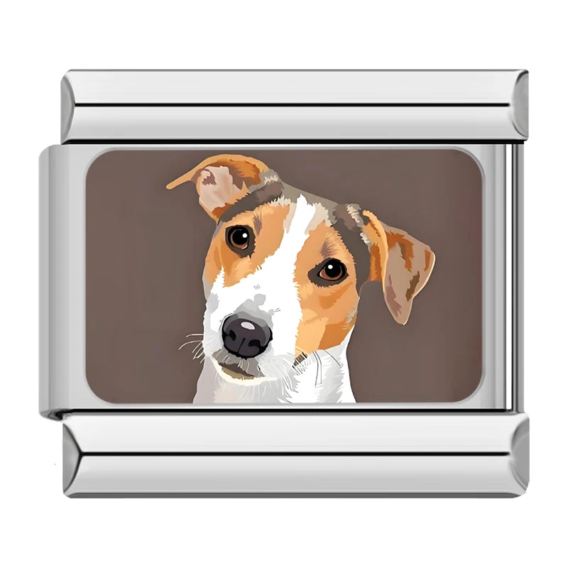 Jack Russell Terrier in Silver