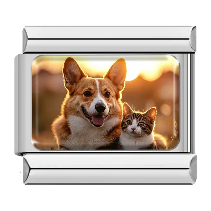 Corgi and Cat Sunset
