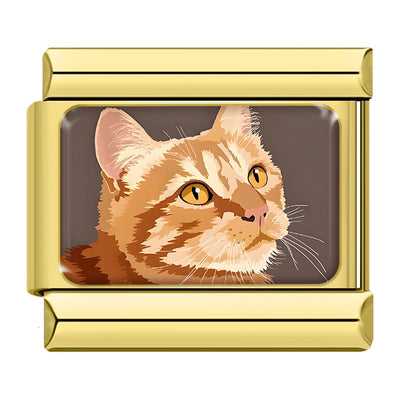 Pet Portraits