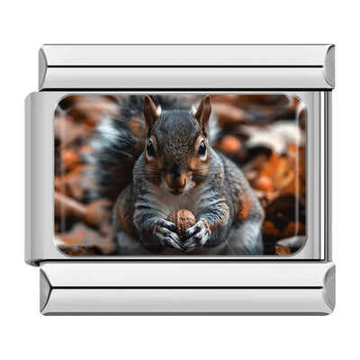 Gray Squirrel with Acorn