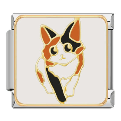 Calico Cat