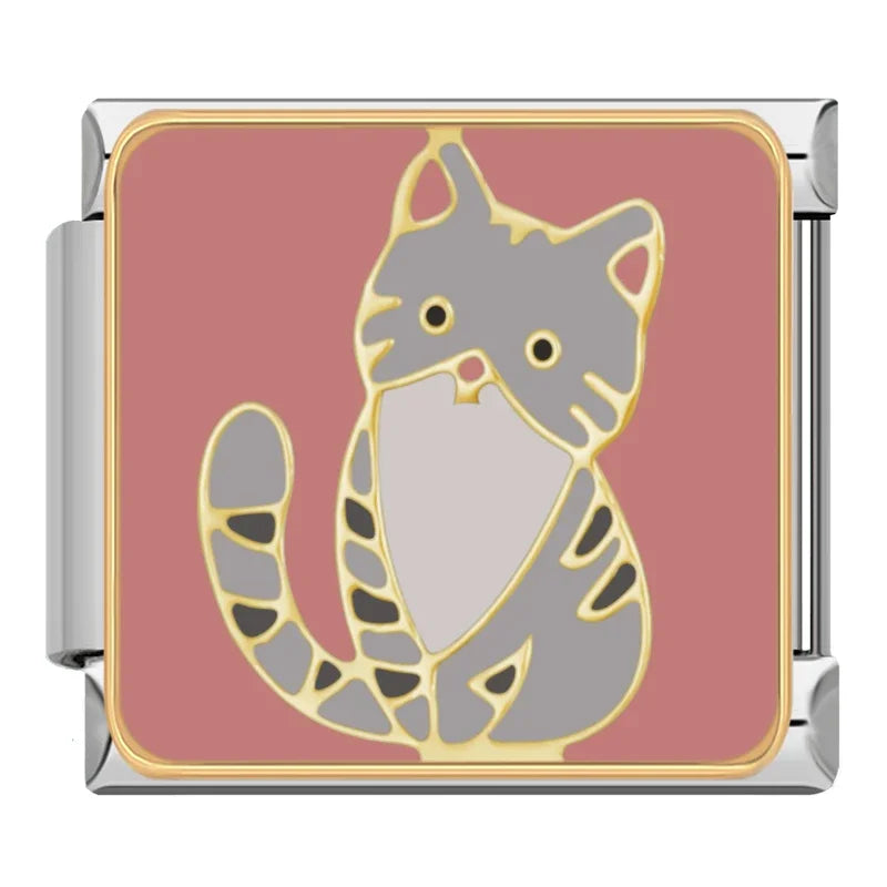 Gray Tabby Cat