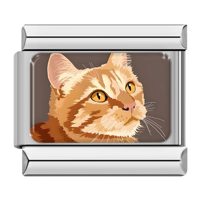 Orange Tabby Cat in Silver