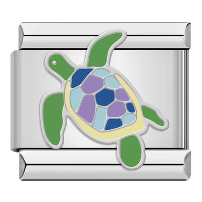 Colorful Turtle