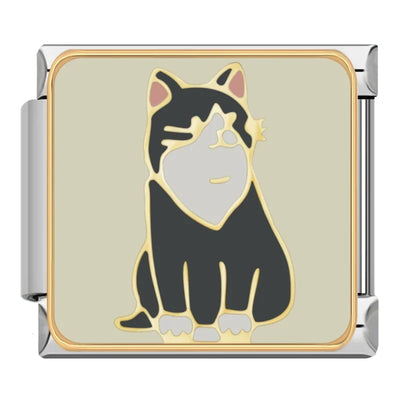 Tuxedo Cat