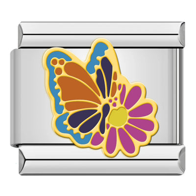 Butterfly on Daisy