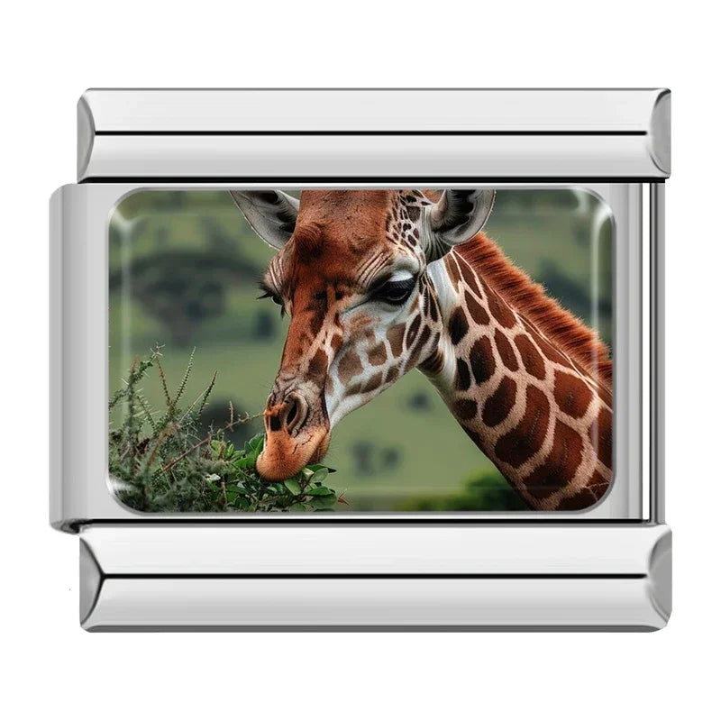 Giraffe Eating Leaves