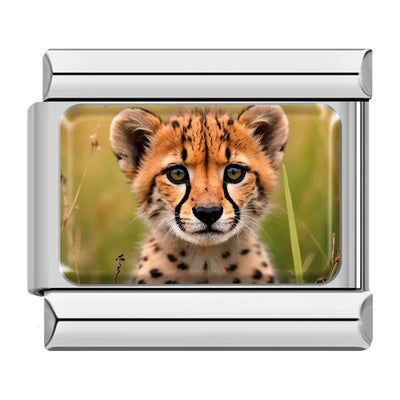 Cheetah Cub Portrait