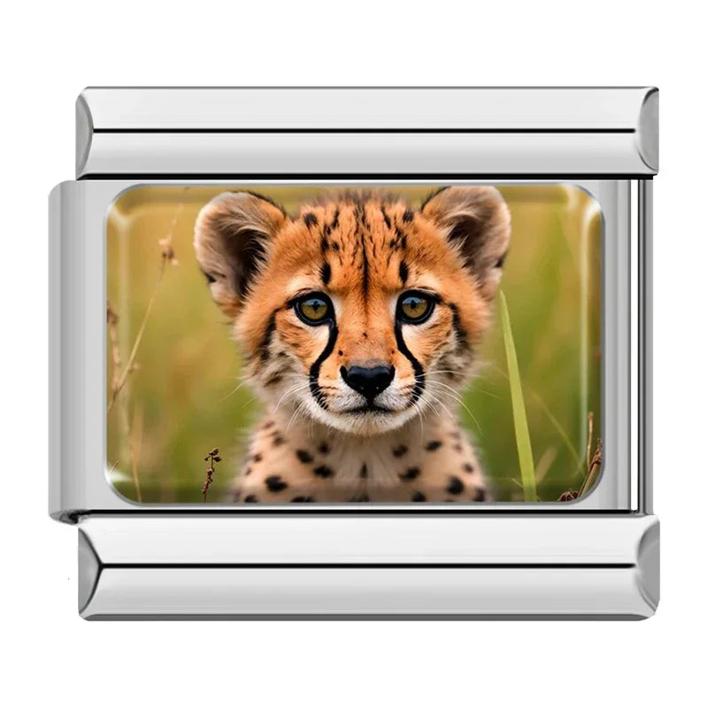 Cheetah Cub Portrait
