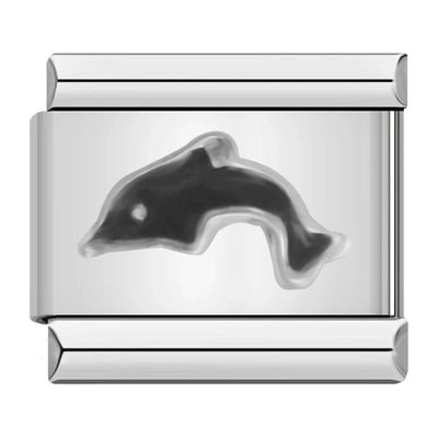 Black Dolphin