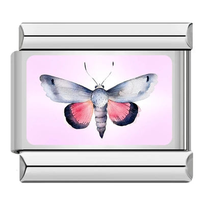 Pink Moth