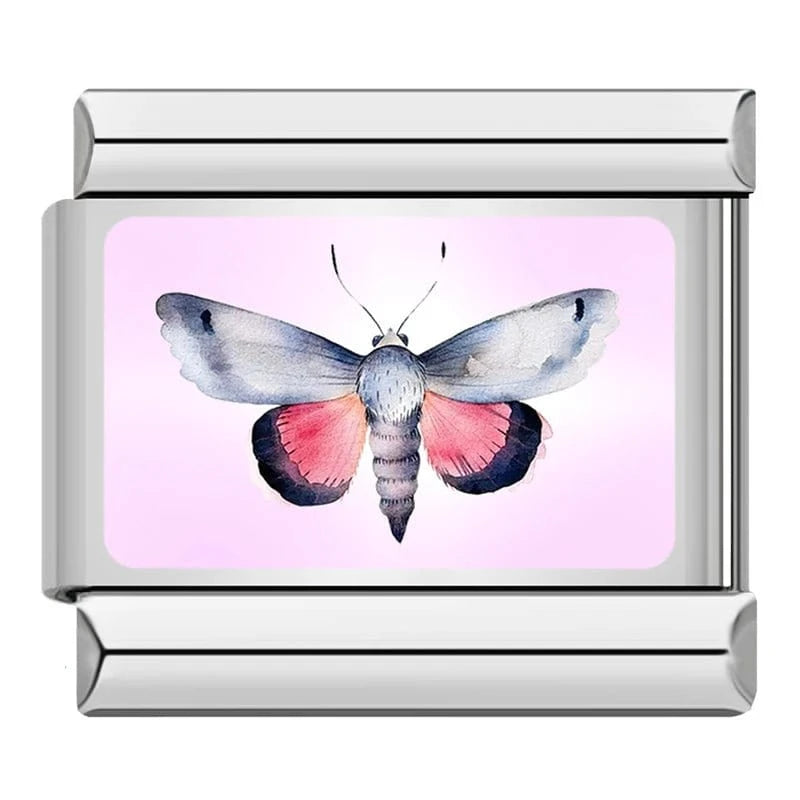 Pink Moth