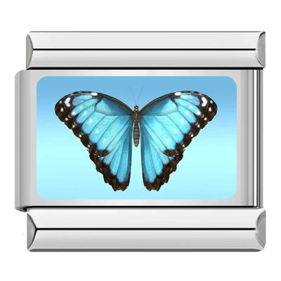 Painted Butterflies