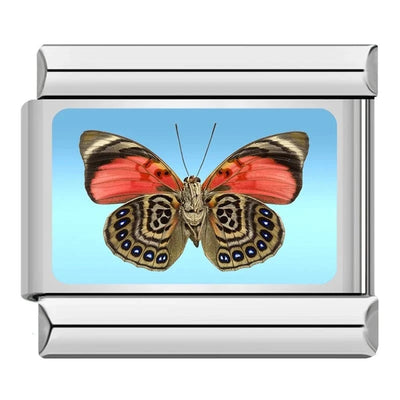Brown Butterfly