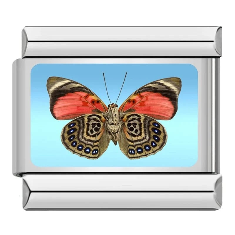 Brown Butterfly