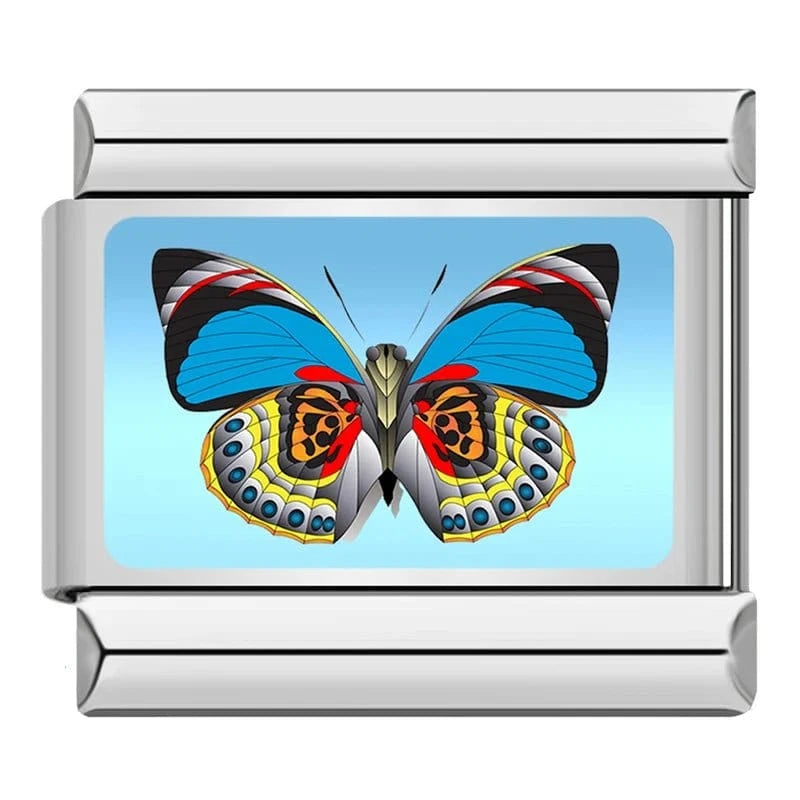 Blue and Red Butterfly
