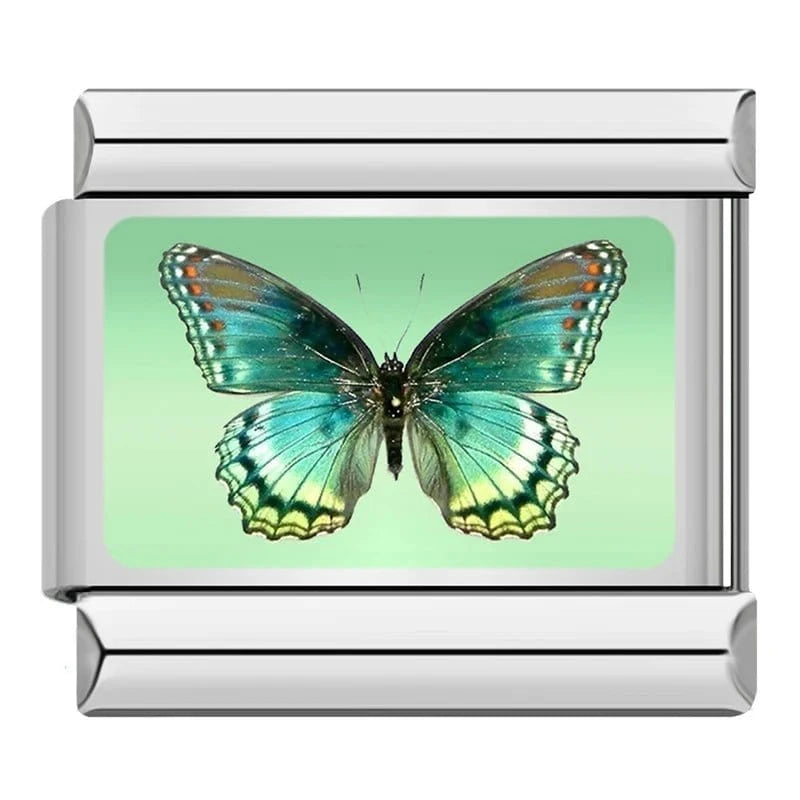 Teal Butterfly