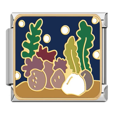 Coral Reef