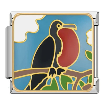 Frigate Bird