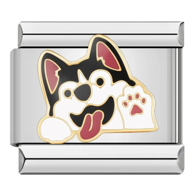 Husky Waving Paw