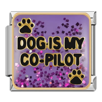 Dog Is My Co-Pilot