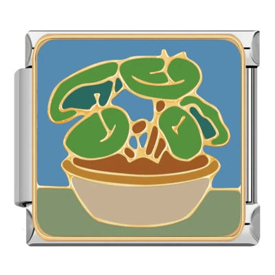 Potted Plant